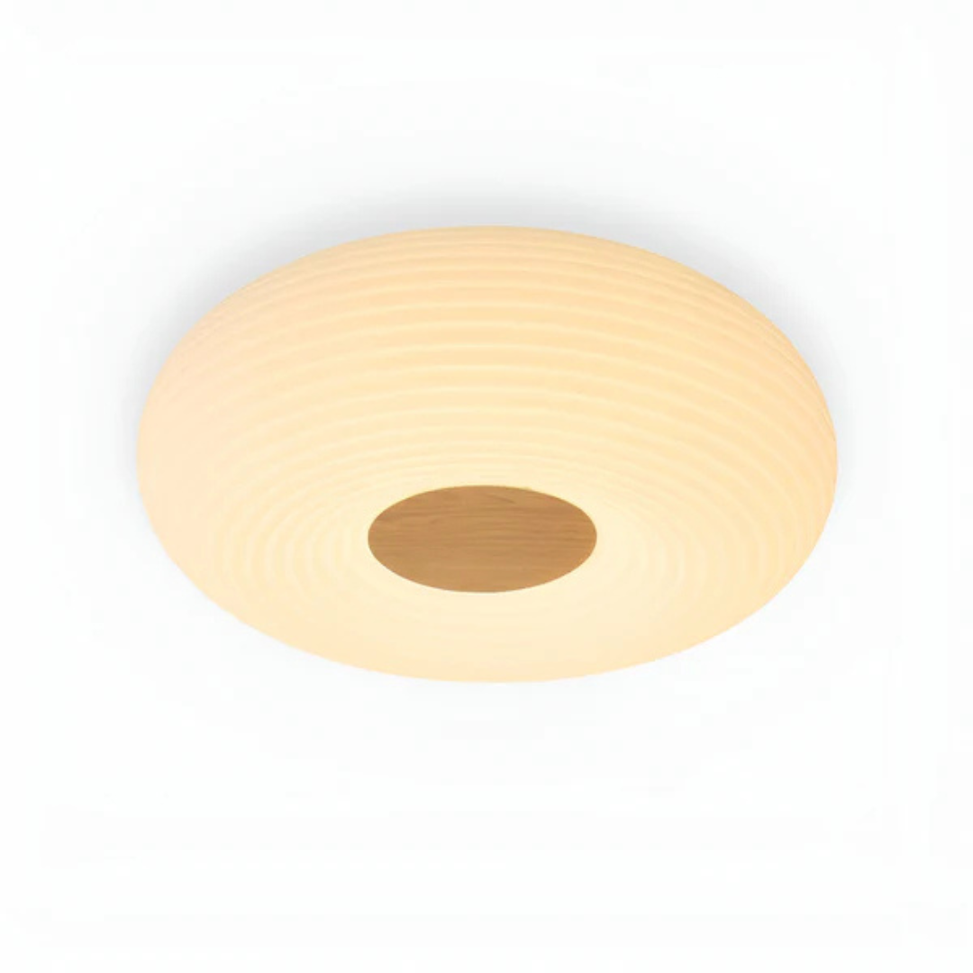 Modern LED Ceiling Light - Lumora - Adjustable Brightness - Contemporary Style