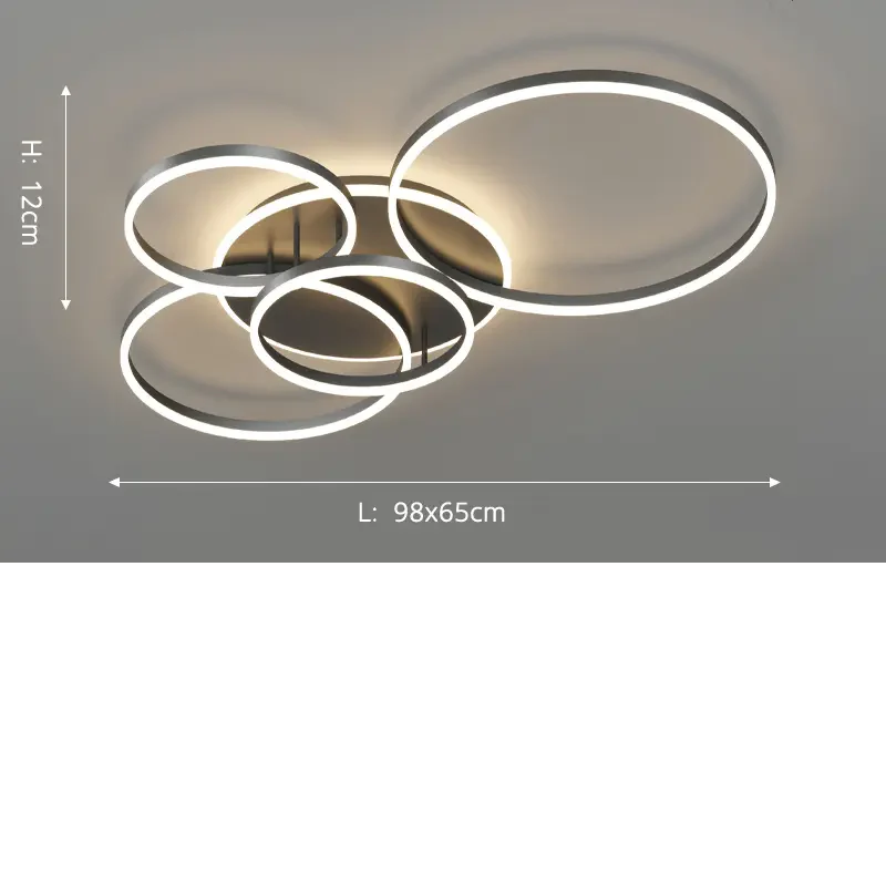 Modern Black Ceiling Lamp - Lumoire - Structured Frame - Versatile Placement