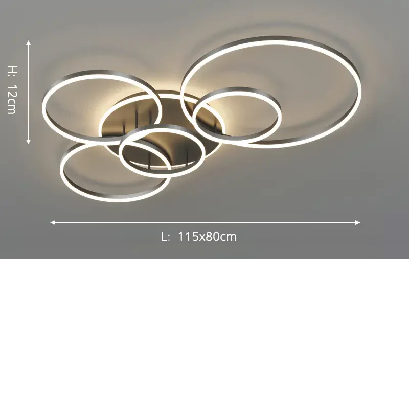 Modern Black Ceiling Lamp - Lumoire - Structured Frame - Versatile Placement